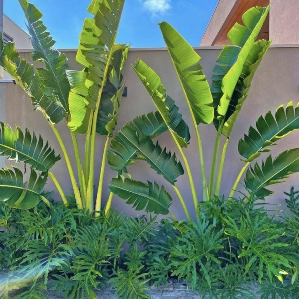img 20260827 wa0023